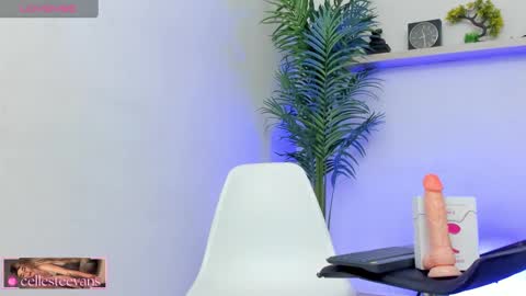 Celeste  online show from January 2025 04:45:01 PM