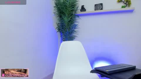 Celeste  online show from February 2025 03:38:01 PM