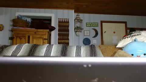 cguffey2284 online show from December 2024 07:00:02 PM