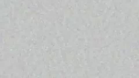 oilmeup online show from April 2026 07:42:02 AM