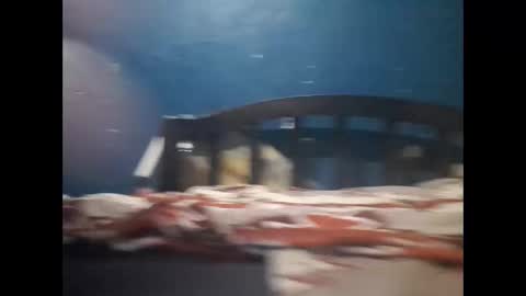 Khalif online show from December 2024 10:11:02 PM