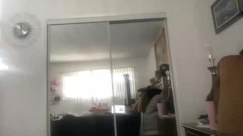 channelll31 online show from November 2025 07:57:02 PM