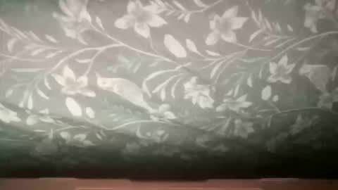 channelll31 online show from December 2025 04:24:02 PM