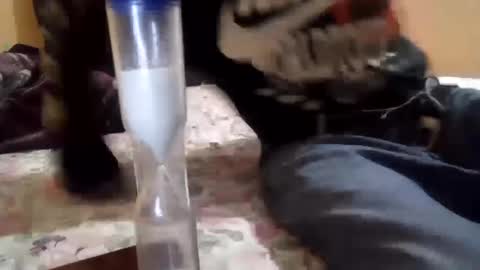 chanok33 online show from February 2025 05:34:02 AM