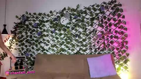   online show from December 2024 01:38:02 PM