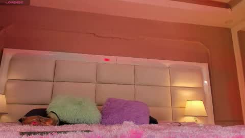    online show from November 2025 11:32:01 AM