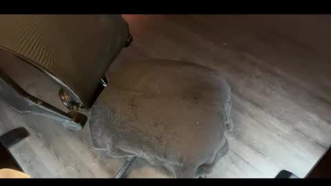 CharlieTango Live online show from November 2025 02:01:02 AM