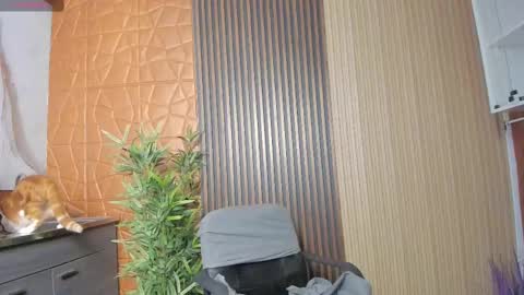 Charlotte  Everyday From 0700 to 1300 Col Time online show from February 2025 11:02:02 AM