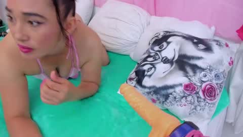 Charlotte  online show from April 2026 04:40:02 PM