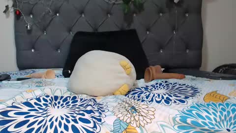 charlottee07 online show from January 2025 10:40:01 AM