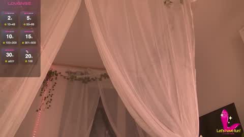 Charlotte online show from November 2025 07:46:02 PM