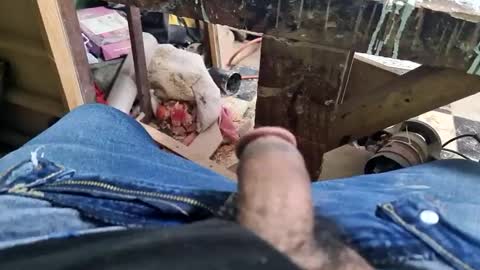 Parcero online show from September 2025 01:32:01 PM