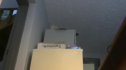 Snapshot of chaturbatordeluxe chatting on November 2025 03:34:01 AM chaturbatordeluxe online show from November 2025 03:34:01 AM