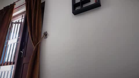 Snapshot of chaturmate00782 chatting on October 2025 06:52:02 AM chaturmate00782 online show from October 2025 06:52:02 AM