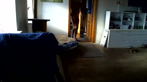 Snapshot of chefben666 chatting on February 2026 11:29:02 AM chefben666 online show from February 2026 11:29:02 AM