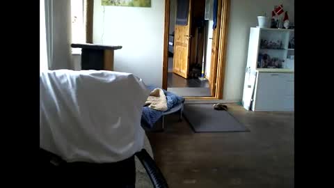 Snapshot of chefben666 chatting on April 2026 03:28:02 PM chefben666 online show from April 2026 03:28:02 PM