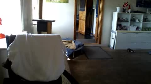 Snapshot of chefben666 chatting on April 2026 09:24:02 AM chefben666 online show from April 2026 09:24:02 AM