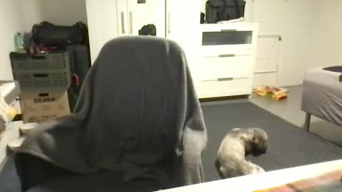 cheftoti online show from February 2025 07:05:02 PM