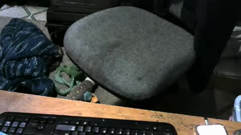 chefy online show from October 2025 12:17:02 PM