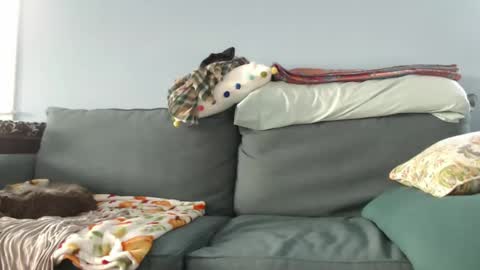 Chelsea online show from December 2024 07:35:01 PM