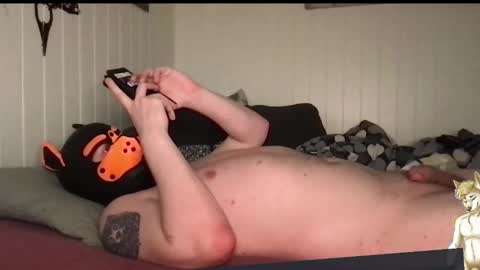 ChestBellyFetish online show from March 2026 05:34:01 PM