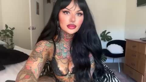 Chickhabit66 online show from March 2026 12:06:02 AM