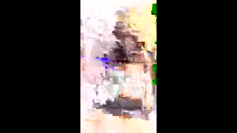 chinnu75 online show from March 2026 06:56:01 PM