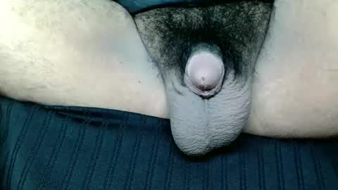 chinny_fuckdoll online show from November 2025 08:03:02 AM