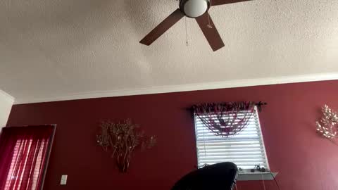 CHINO online show from February 2026 05:00:02 PM