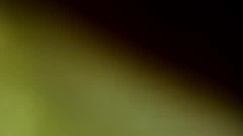 ChloeeThompson online show from September 2025 02:56:02 AM