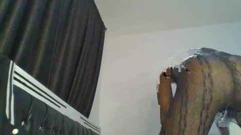 chocobear22 online show from November 2025 10:48:01 PM