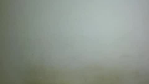 chocolatebony_ online show from January 2025 10:05:01 PM