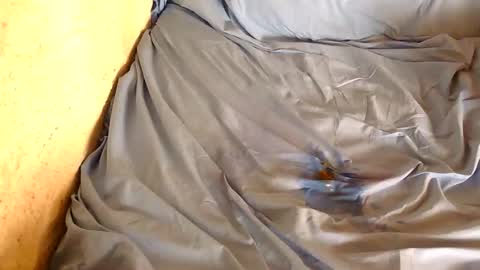 davenz online show from February 2025 03:04:02 PM