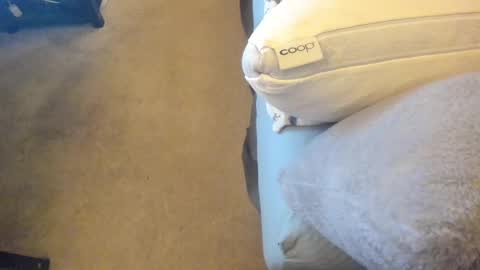 Chris Martinson XXX online show from February 2025 12:43:01 AM