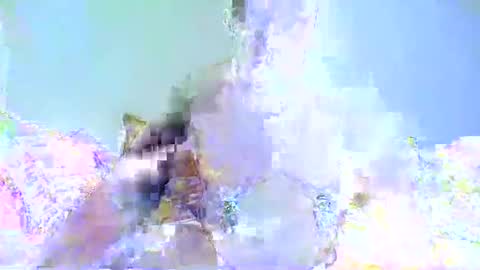 Chrispainpig torture bdsm masochist slave submissive hardcore anal CBT humiliation online show from January 2025 03:33:02 PM