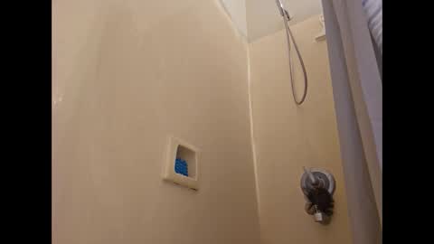 Chris online show from December 2024 04:48:02 AM