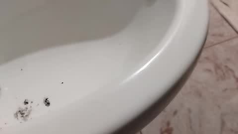 Snapshot of ciccilli chatting on November 2025 10:23:02 PM ciccilli online show from November 2025 10:23:02 PM