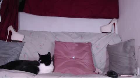 cicimom online show from January 2025 03:32:02 AM