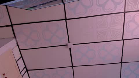 CintiaCollins  online show from January 2026 06:54:02 PM