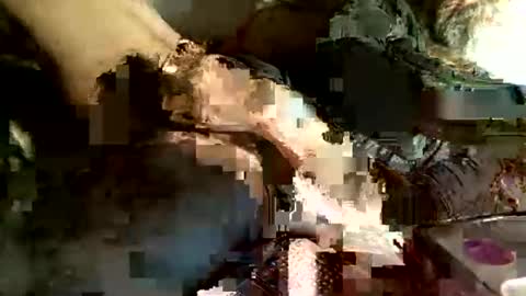 dan online show from March 2025 04:13:01 AM