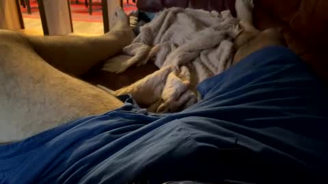 Cjd32 online show from December 2024 09:52:01 PM