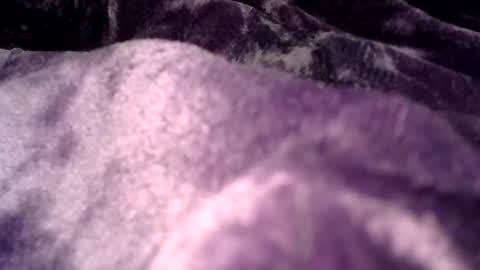 clamslamm11 online show from October 2025 01:02:02 AM