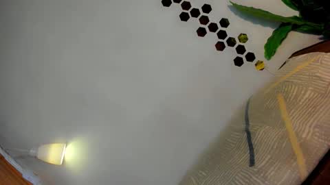 Amanda trans red one  Anna Girl black one online show from January 2026 03:17:02 PM