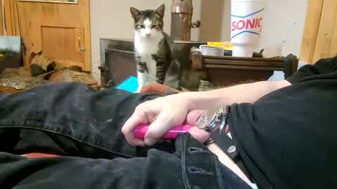 Clay online show from December 2024 12:21:02 AM