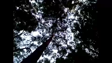 Matriarch Muse online show from January 2025 08:57:02 AM