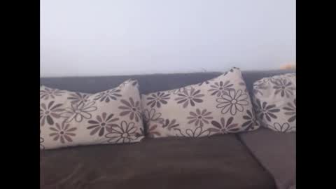 cobra4u online show from November 2025 09:53:01 AM