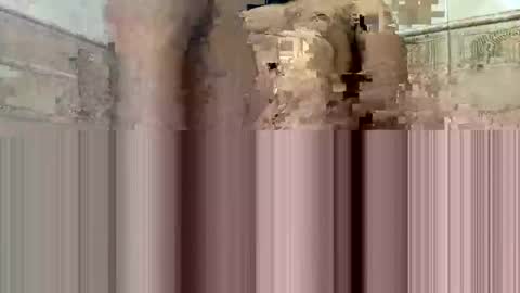 cockdoc4444 online show from October 2025 05:40:01 AM