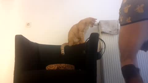 cockholder420 online show from November 2025 09:09:02 AM