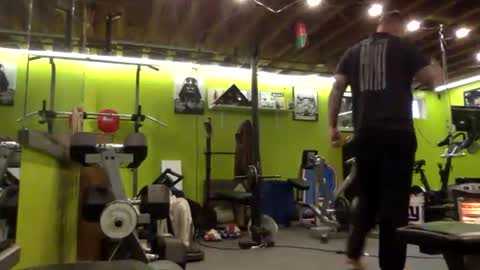 cod338 online show from January 2025 04:40:01 PM