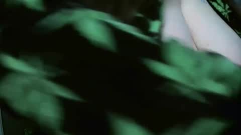 TheGoddessCodie online show from December 2024 08:26:02 PM